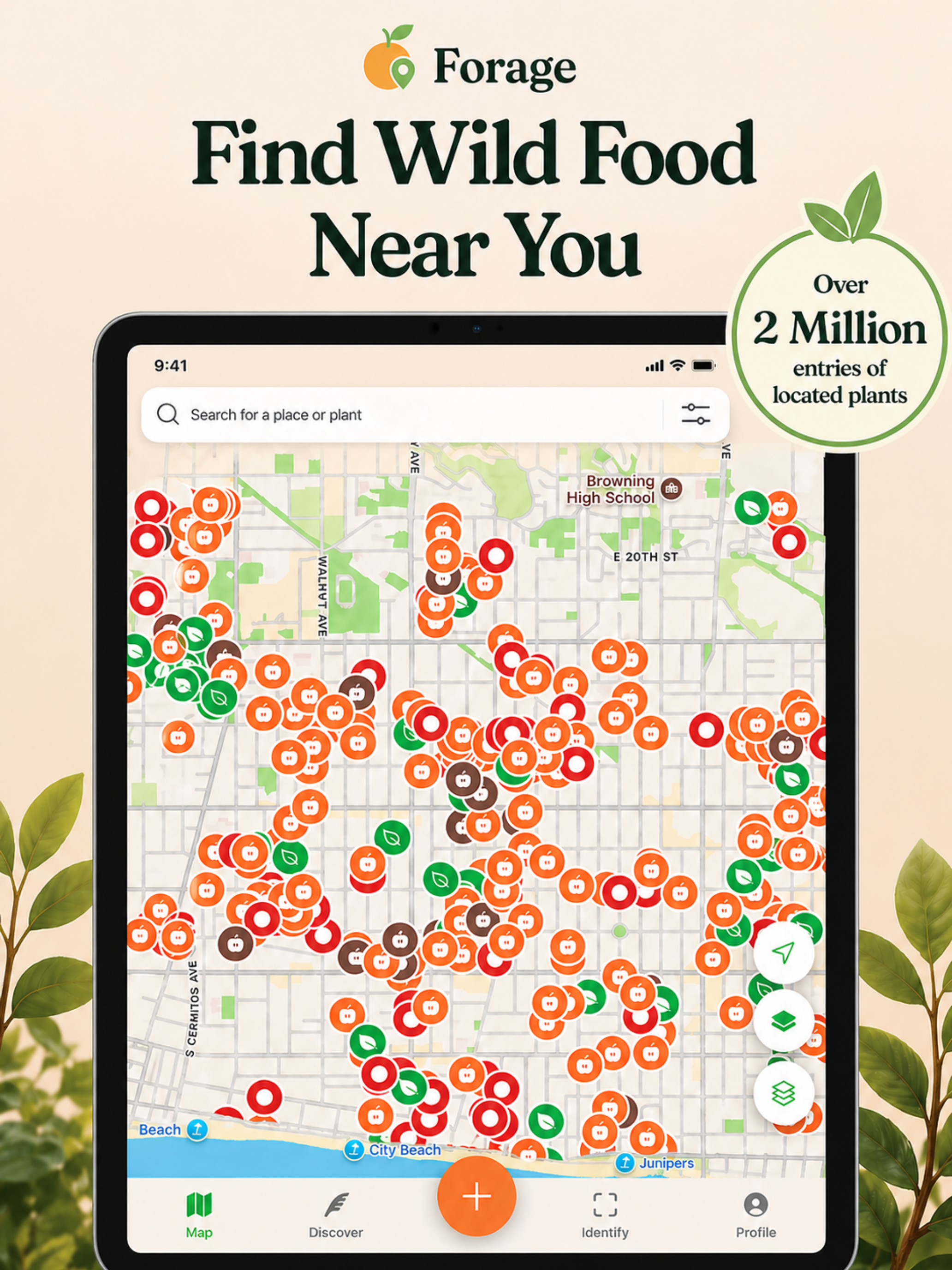 Forage: Fruit Tree & Plant Map