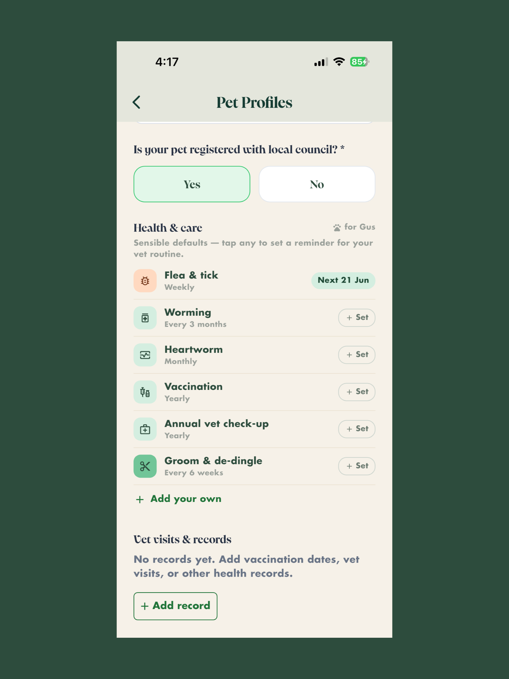Dingla screenshot 18