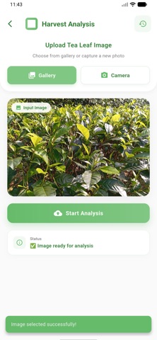 TeaLens screenshot