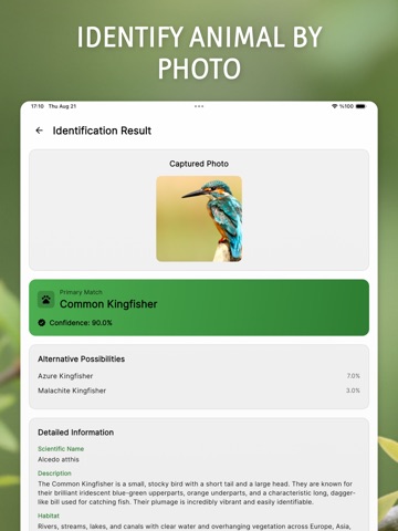Animal Sound Identifier: AI iPad screenshot