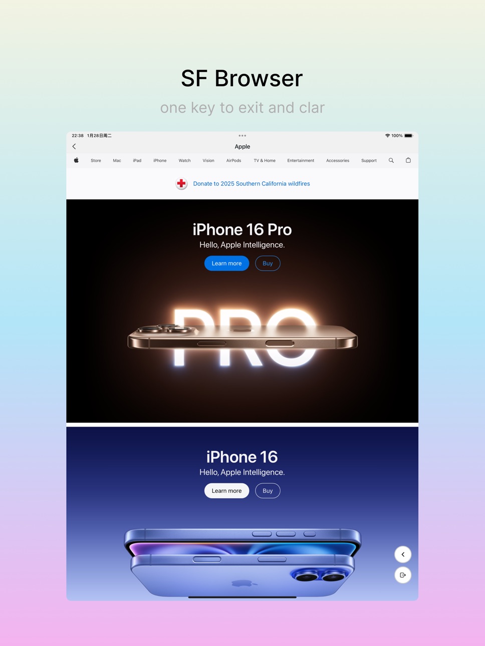 iPad screenshot