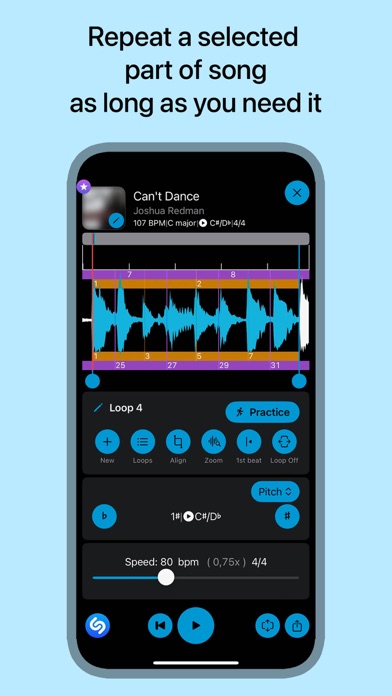 Music Looper - for Musicians Screenshot