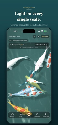Nishikigoi Pond Screenshot 2 of 6