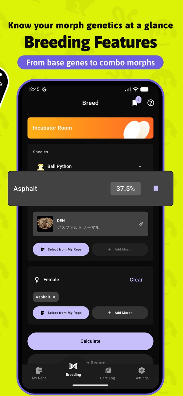 iPhone screenshot