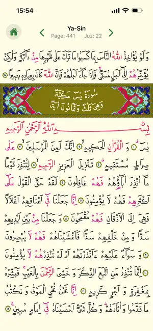 Kur’an-i Kerim iPhone screenshot 3