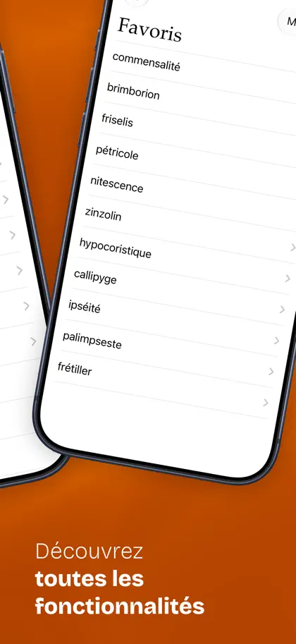 Captura 4 de 4 de Dictionnaire