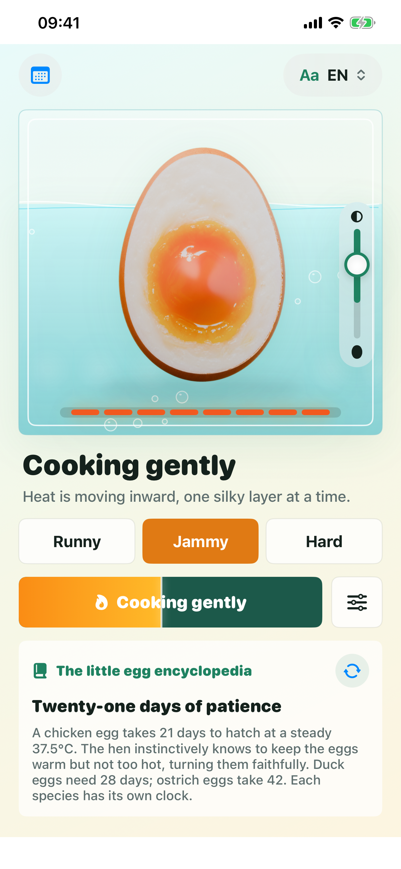 EggBoil screenshot 2