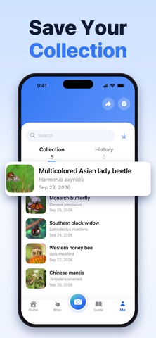 Bug Identifier: Insect Scan AI iPhone screenshot