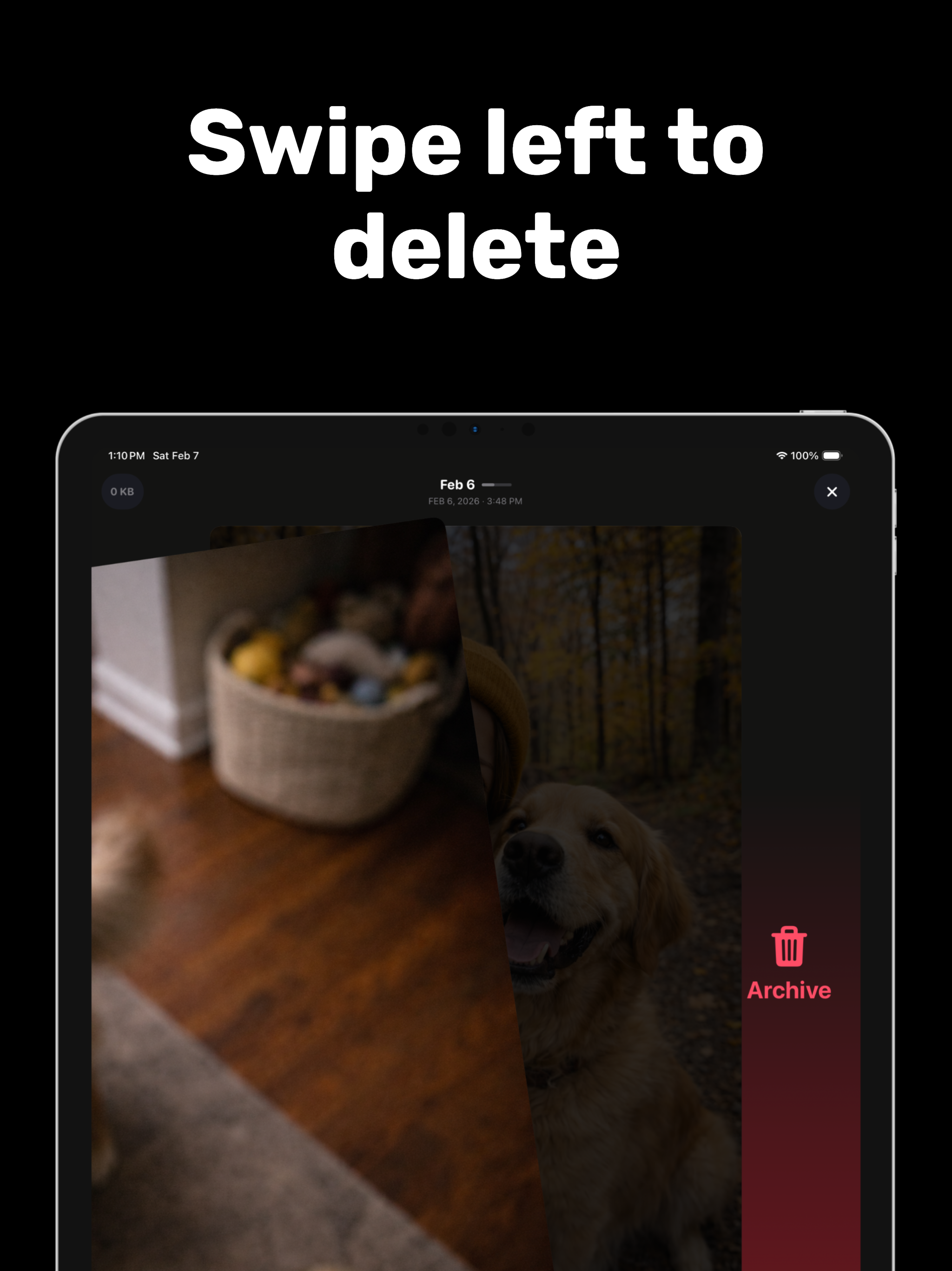 Piczy - Photo Organizer screenshot 8