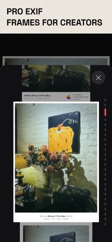 Modipix: Film Lab & 3D LUT screenshot