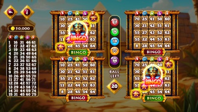 Brazi Bingo Screenshot