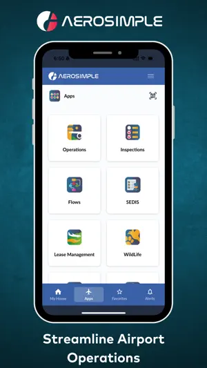 Aerosimple screenshot 1