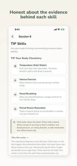 DBT Skills Guide screenshot 4