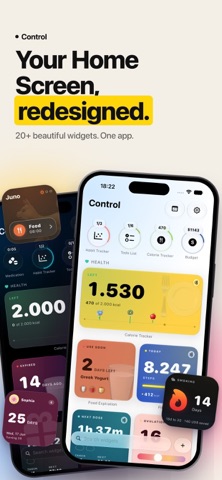 Control: Home Screen Widgets Screenshot 1 of 10