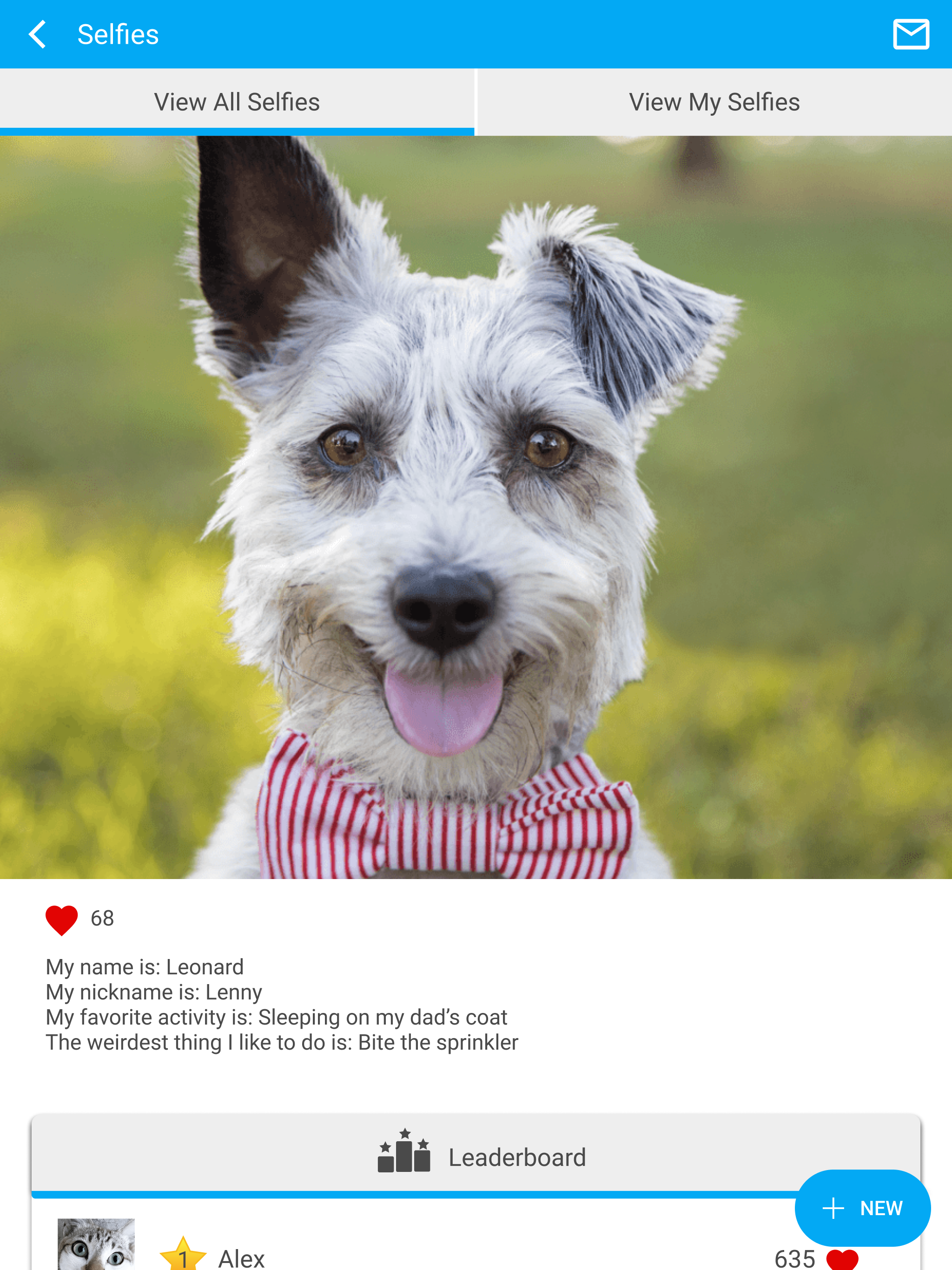 Lake City Animal Hospital