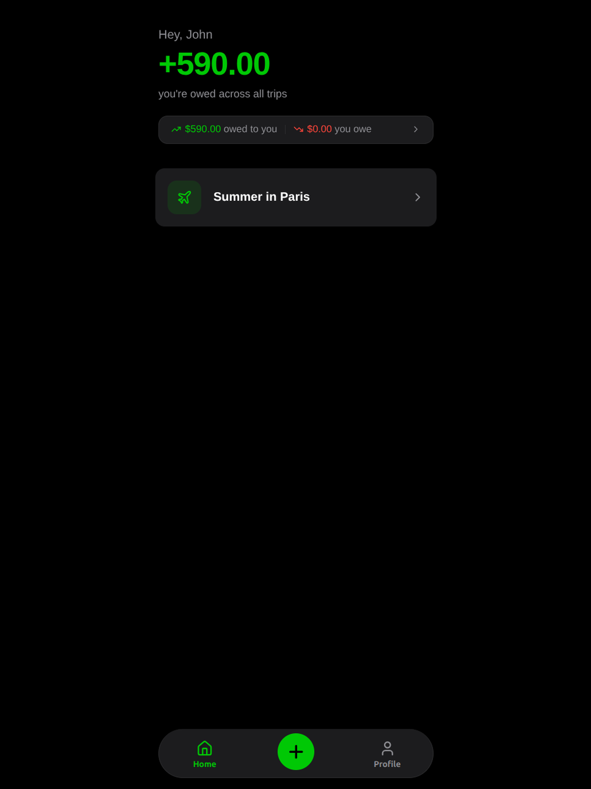 Orion Trip Ledger