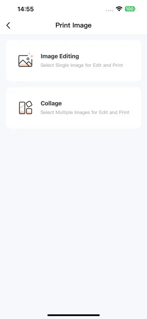 ZPrinter screenshot 2