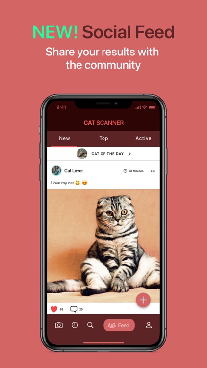 Cat Scanner screenshot-3