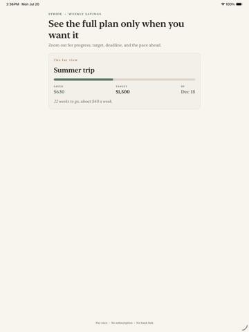 Stride: Weekly Savings Goals iPad screenshot