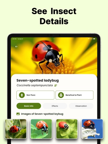 Bug Identifier: Pest Finder iPad screenshot