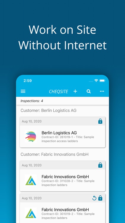 Ladder Safety Inspection
