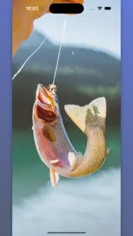 Fish and Fishing - KLEV iphone bilder 0