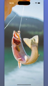 Fish and Fishing - KLEV screenshot