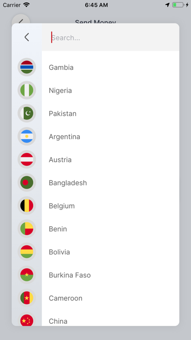 ACE Money Transfer Screenshot