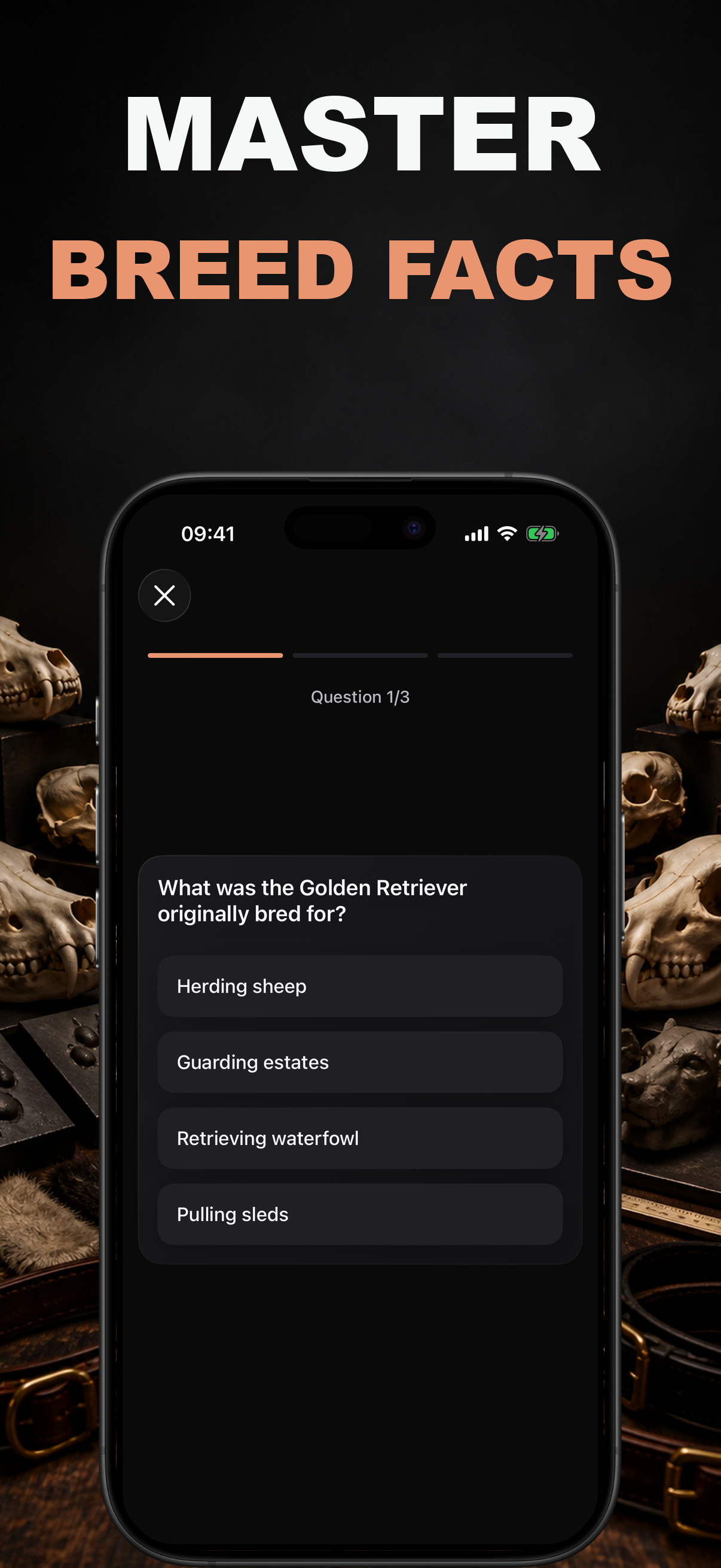 Pawz AI: Breed Identifier screenshot 6