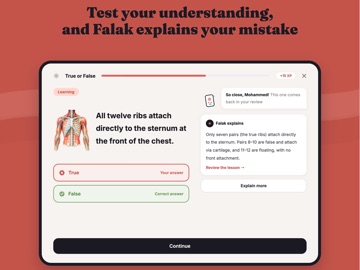 Falak AI: More Than Flashcards iPad screenshot