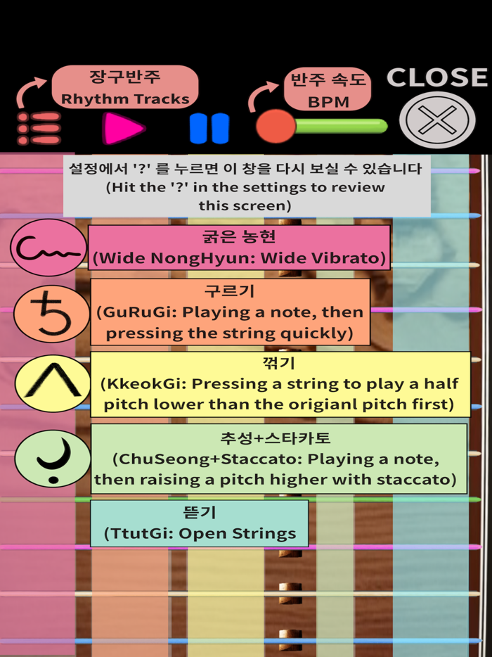 Gayageum12Str Pro