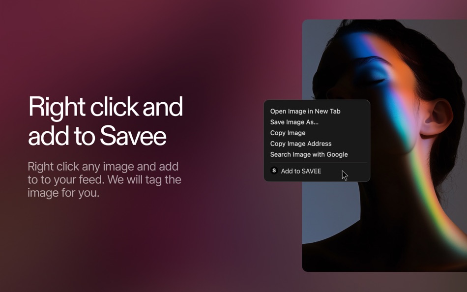 #5. Savee for Safari (macOS) 由: Savee LLC