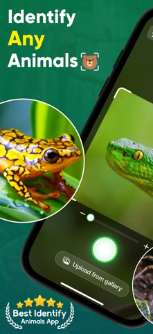 Animal Identifier - Beast ID screenshot