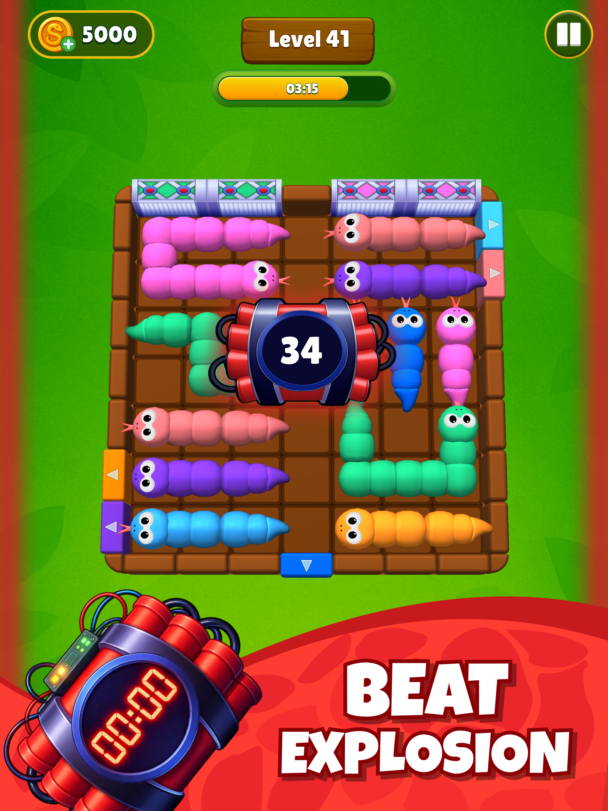 Snake Puzzle Block Jam