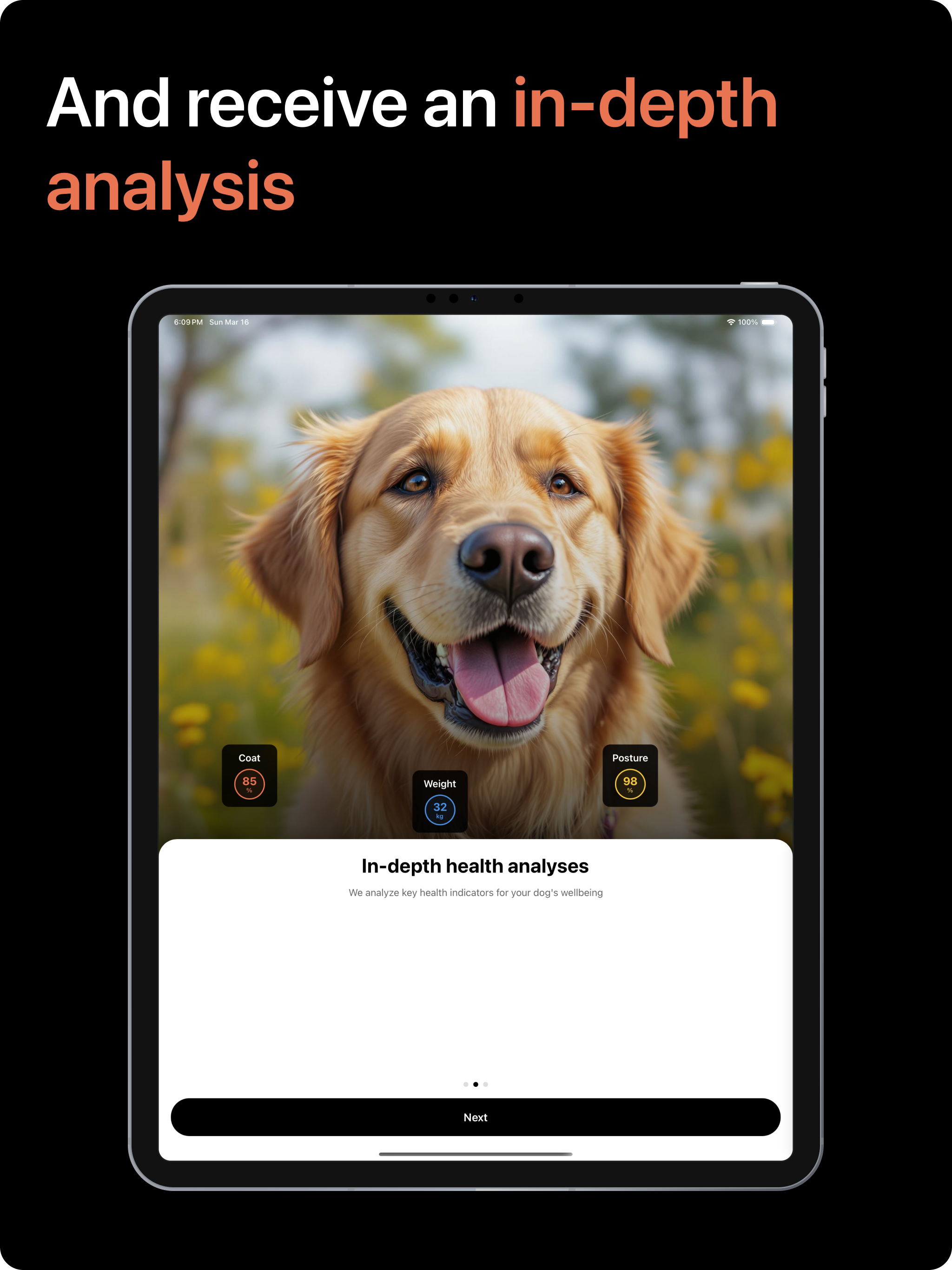 Vet AI - Talk to Your Dog
