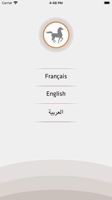 Pocket Bank Screenshot