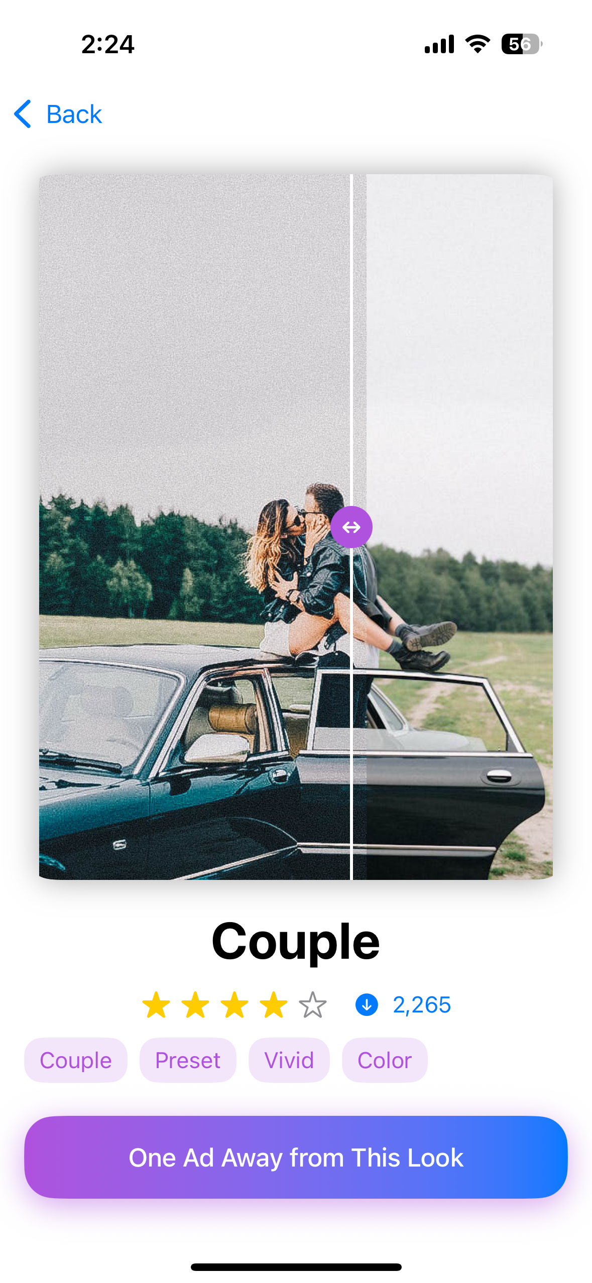Presets for Lightroom - Vivid screenshot 4