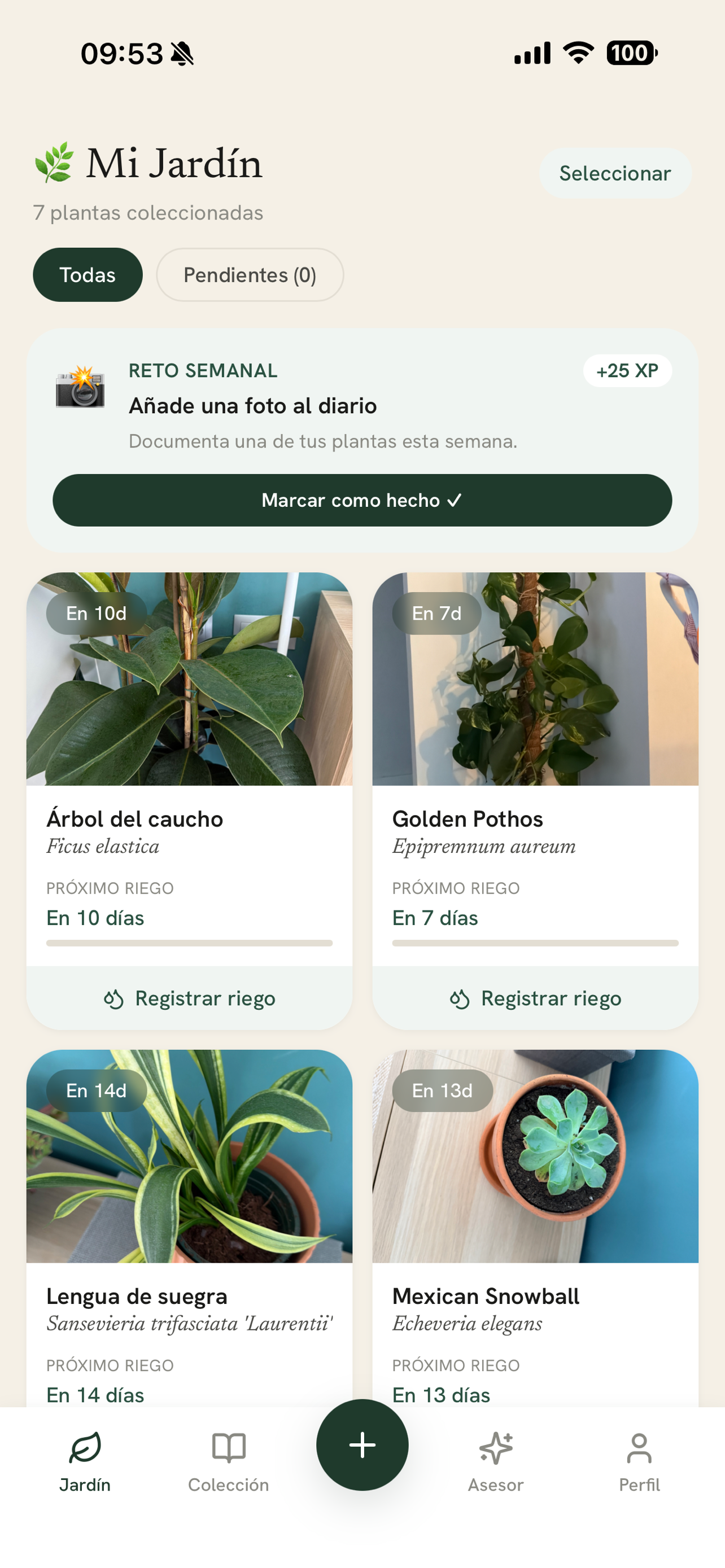 Folia Garden screenshot 5