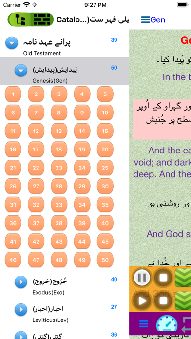 Screenshot #2 pour Urdu English Audio Holy Bible
