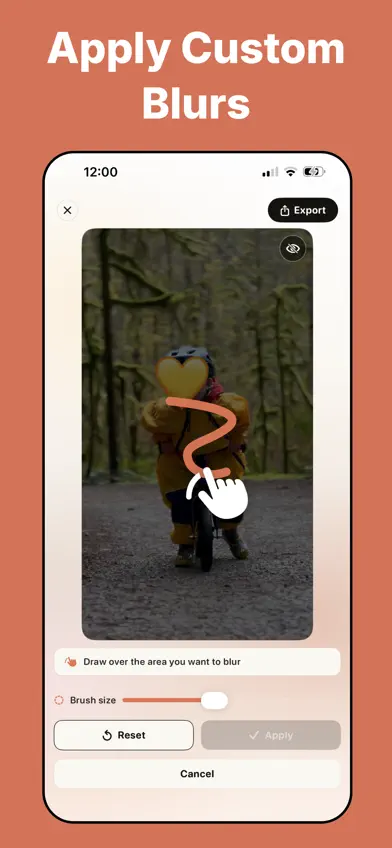 Kloak Auto Blur Faces in Video screenshot 2