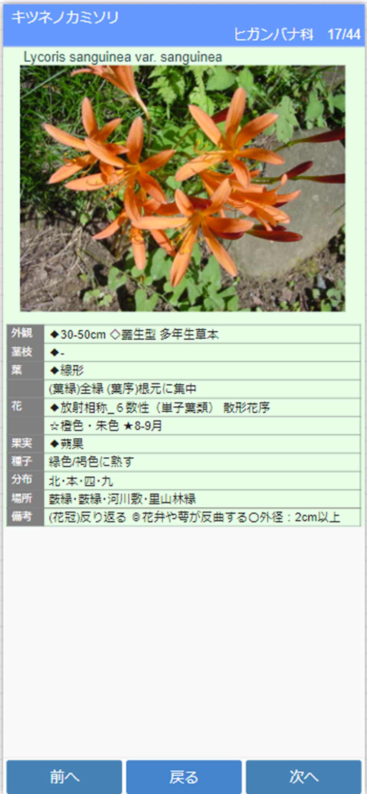 街野植物図鑑入門編 (jpflora300)