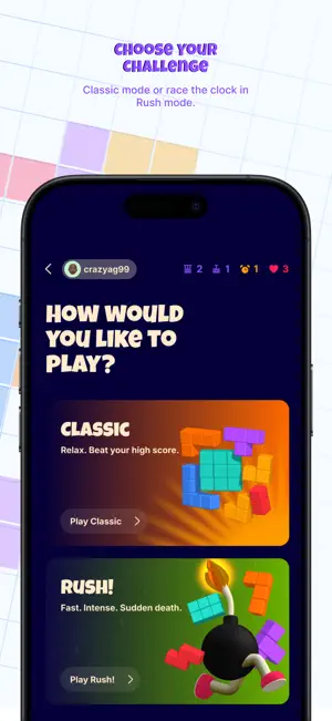 Block 'em Up! Brain Puzzle screenshot 3