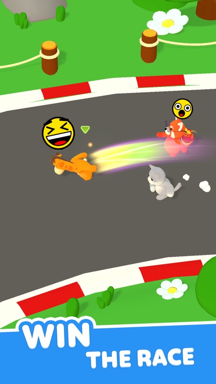 Animal GO: Racing