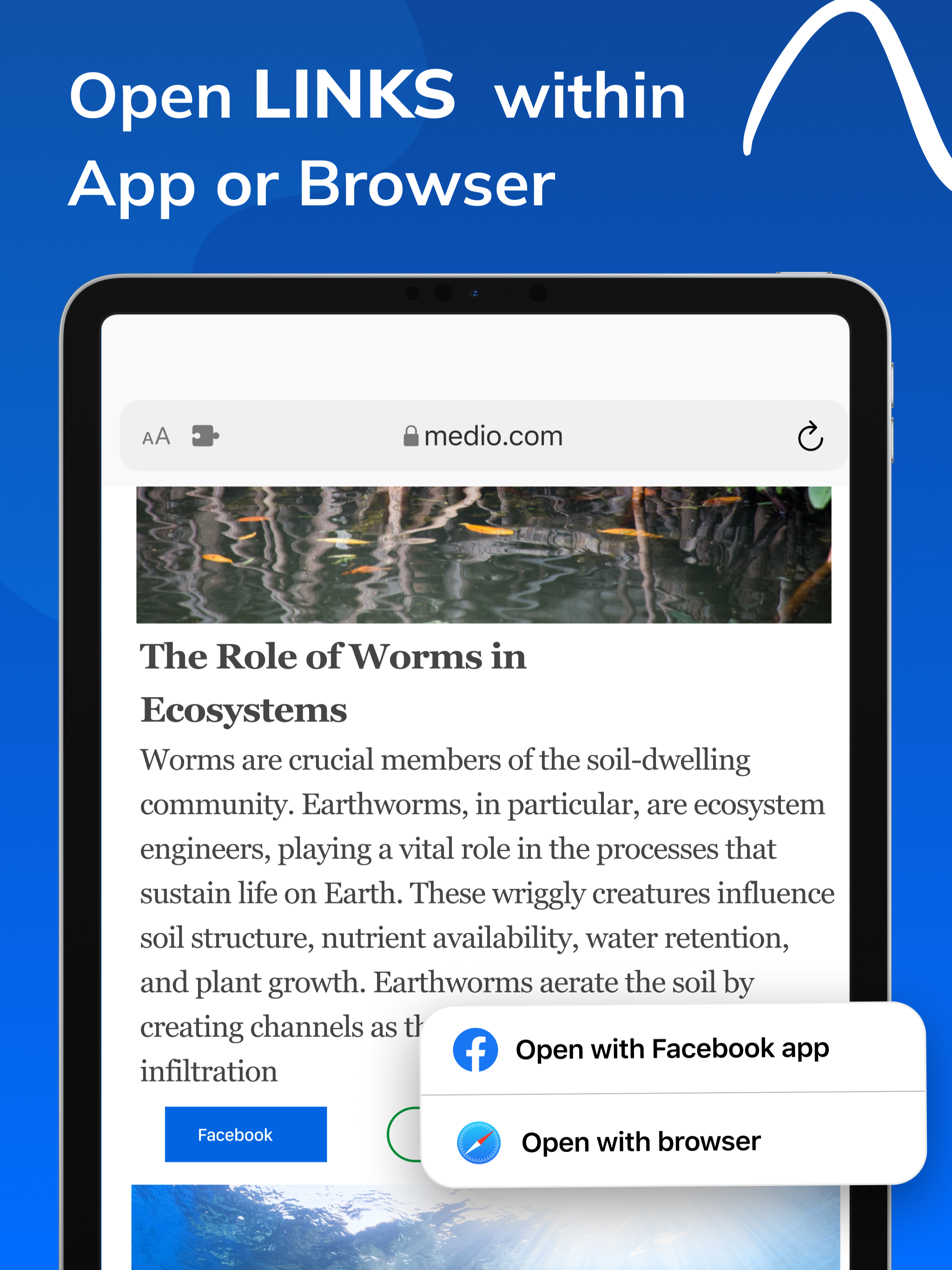 Link Opener: Save All URLs