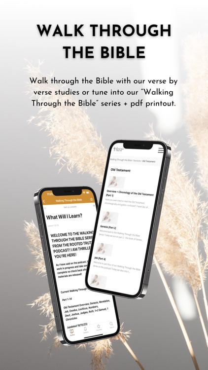 The Rooted Truth screenshot-4