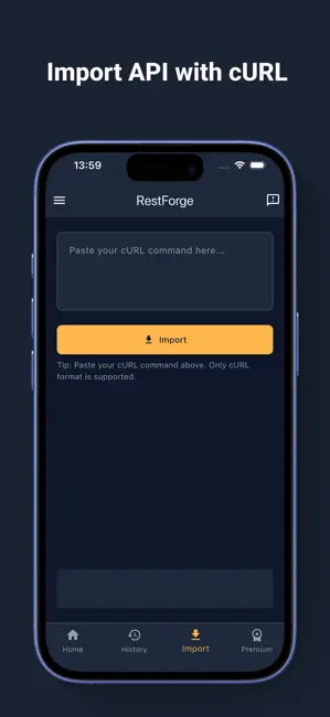 RestForge - API Client iPhone screenshot 3