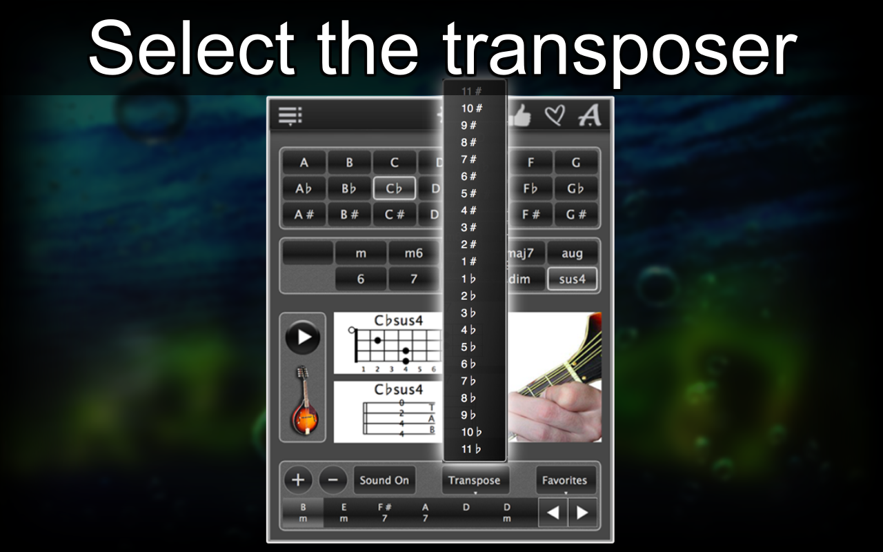 120 Mandolin Chords Pro screenshot 26