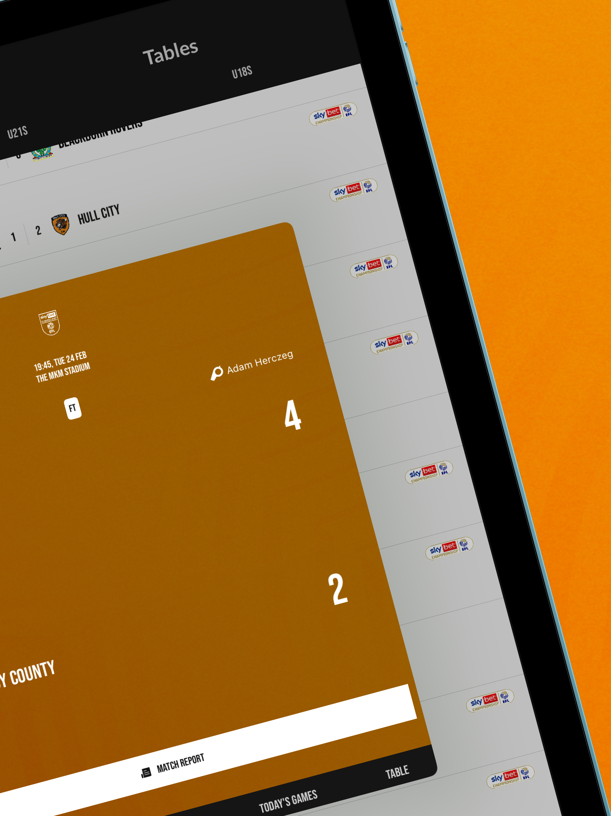 Hull City screenshot 11