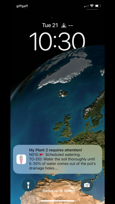 Vplants Screenshot 10 of 10