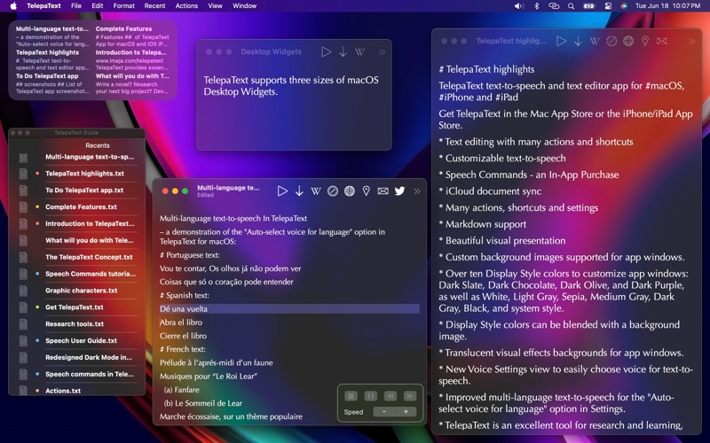 TelepaText - editor, speech screenshot